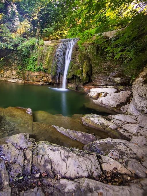 Welcome In Toscana Polcanto Экстерьер фото